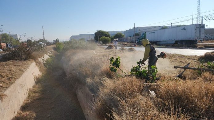 WhatsApp Image 2026-02-22 at 12.54.16