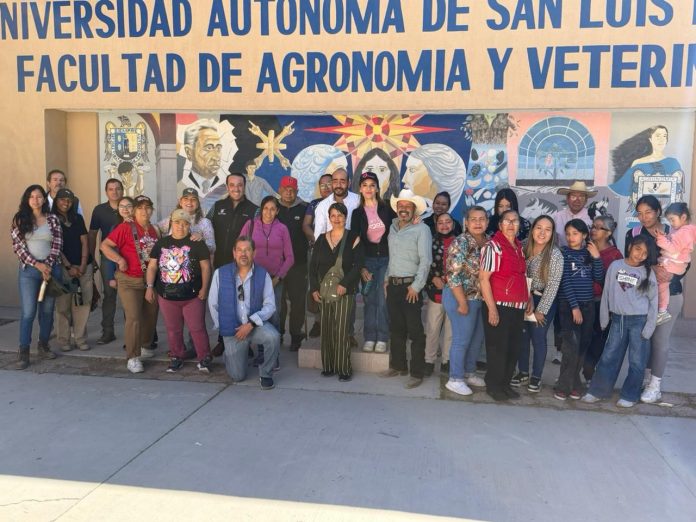 WhatsApp Image 2026-02-22 at 15.18.40