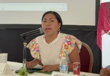 Artesanos indígenas enfrentan retos económicos y piratería, señala INDEPI