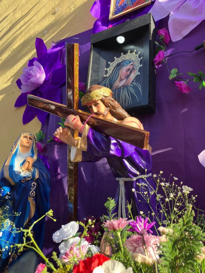 PHOTO-2026-03-27-20-00-28 5