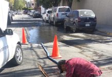 Raíces impedían llegada de agua a calles de Lomas