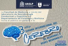 UASLP acerca las neurociencias al público con la tercera Semana Internacional del Cerebro