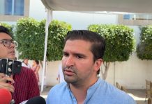 Atiende Ayuntamiento caída de árboles tras lluvias en la capital potosina