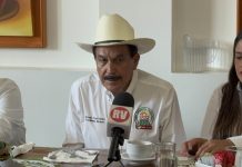 Impulsa UCD nuevo decreto nacional para autos extranjeros