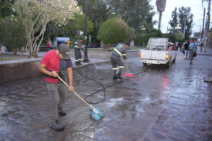 WhatsApp Image 2026-04-01 at 14.01.23