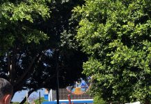 Fe y tradición marcan el Viacrucis de Viernes Santo en San Luis Potosí