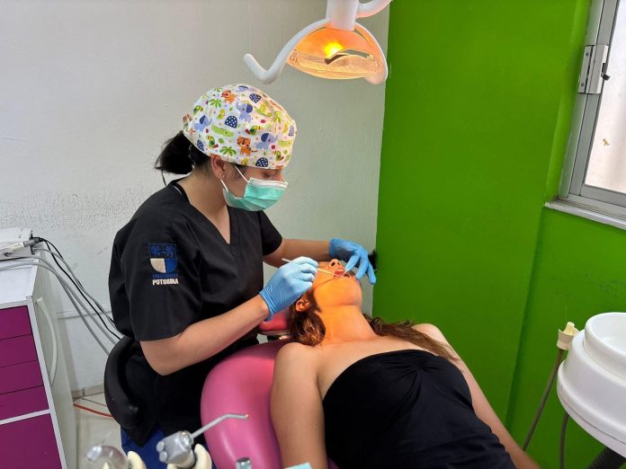 WhatsApp Image 2026-04-10 at 15.18.03