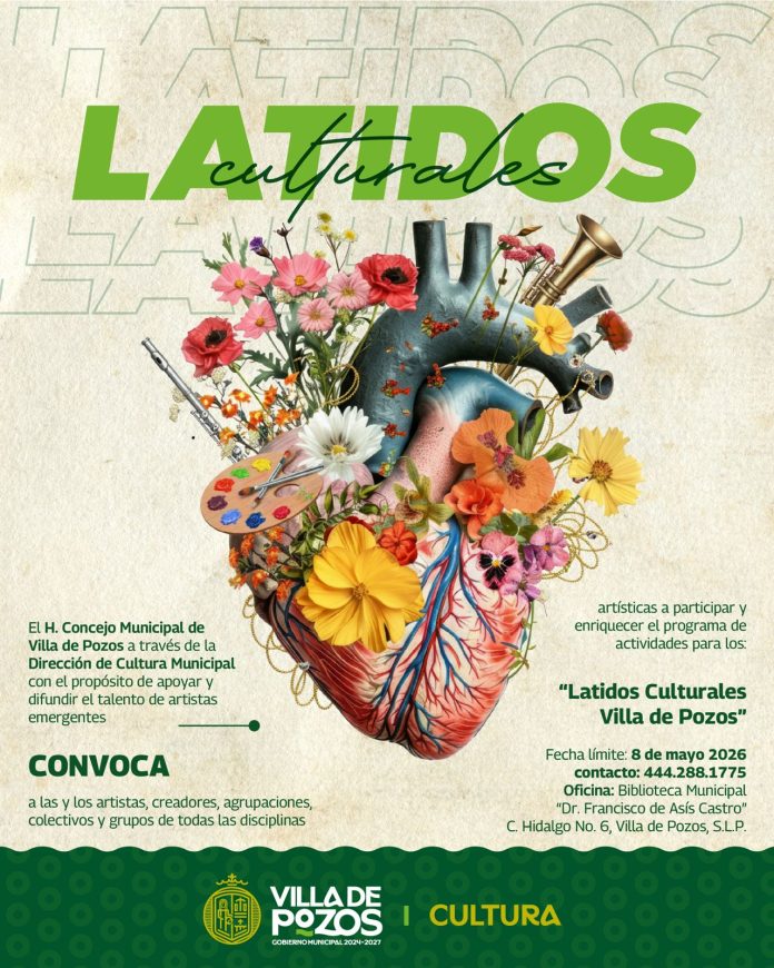 WhatsApp Image 2026-04-10 at 15.21.50