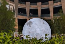 MUNI UASLP reúne arte, ciencia y comunidad en “Noche de Museo: Paisajes del Desierto”