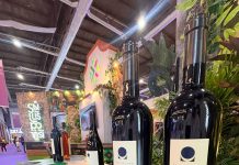 Soledad consolida resultados en el tianguis turístico méxico y se prepara para lo global