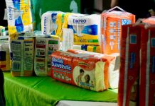 DIF de Villa de Pozos acerca apoyos a familias poceñas
