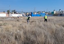Respuesta ciudadana de Villa de Pozos recupera área común en el palmar