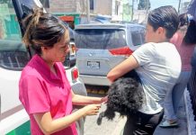 AMBUDOG acerca servicios veterinarios gratuitos a cientos de colonias de Soledad