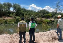 Protección civil de Soledad despliega monitoreo y atención inmediata ante furtes lluvias