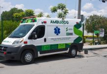 Municipio de Soledad, primer municipio en establecer agenda de protección animal en SLP