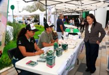 Villa de Pozos acerca servicios médicos a familias de los Silos