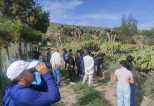 Festival de Verano en El Izotal ofreció una jornada de naturaleza, ciencia y arte