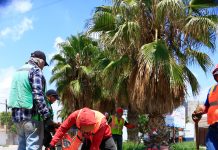 Villa de Pozos fortalece la movilidad con programa de bacheo