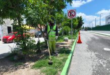 Gobierno de Soledad rescata áreas verdes y comunes con jornadas de limpieza intensiva