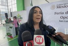 Movilidad laboral provoca ligera baja en el empleo formal, asegura presidenta electa de ADERIAC