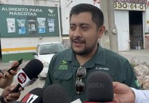 IMJUVE alista una semana de cursos, deporte y convivencia para las juventudes de Soledad