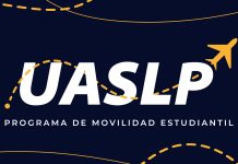 UASLP lidera convocatoria nacional de becas para doble titulación en ingeniería con Francia