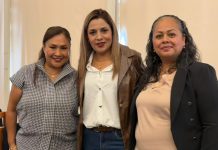 Gobierno soledense recibe capacitación ambiental para reforzar una agenda verde
