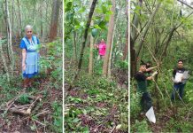 Campus Tamazunchale de la UASLP preserva la medicina tradicional con Jardín Etnobotánico en la Huasteca