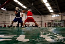 Villa de Pozos vive exitosa primera copa municipal de Boxeo