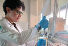 Colaboración académica impulsa investigación sobre biomateriales y respuesta inflamatoria en el CIACyT-UASLP