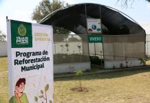 Villa de Pozos inaugura su primer vivero municipal
