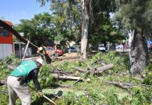 Gobierno municipal de Soledad atendió oportunamente incidentes derivado de la intensa lluvia