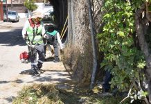 Ayuntamiento de Soledad elimina más de dos toneladas de desechos en área verde de col. Hogares obreros