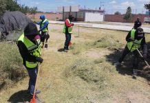 Villa de Pozos da mantenimiento a áreas verdes de escuelas