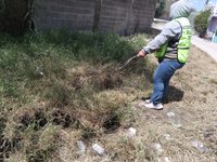 Villa de Pozos invita a la población a disponer de manera adecuada los desechos especiales