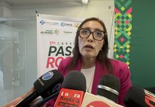 SCT proyecta incorporar hasta 100 nuevas unidades al transporte público este año