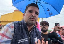 Servicios Municipales prepara sanción por poda de árbol sin permiso en la capital