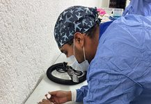 Villa de Pozos fortalece el bienestar animal con esterilización de mascotas en Jassos