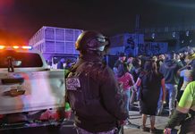 Bailes masivos por festejos de san judas tadeo y día de muertos no serán permitidos: GCM de Soledad